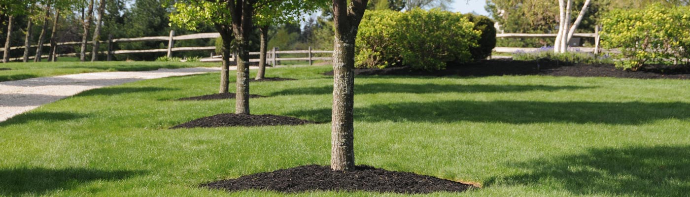 Landscaping, Mulch, Trees