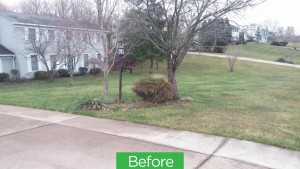 Residential Landscaping, Valley City, OH 44280