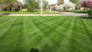 Residential Lawn Care Mowing, Wadsworth, OH 44281 44282