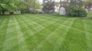 Residential Lawn Care Mowing, Valley City, OH 44280