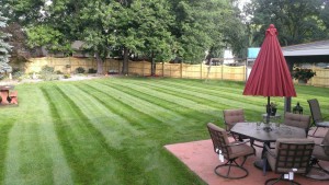 Residential Lawn Care Mowing, Brunswick, OH 44212