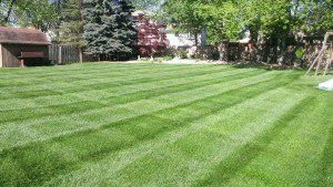Residential Lawn Care Mowing, Hinkley, OH 44233