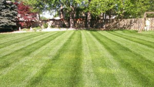 Residential Lawn Care Mowing, Bath, OH 44210