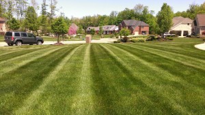 Residential Lawn Care Mowing, Strongsville, OH 44136