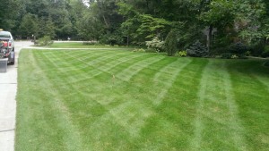 Residential Lawn Care Mowing, Medina, OH 44256